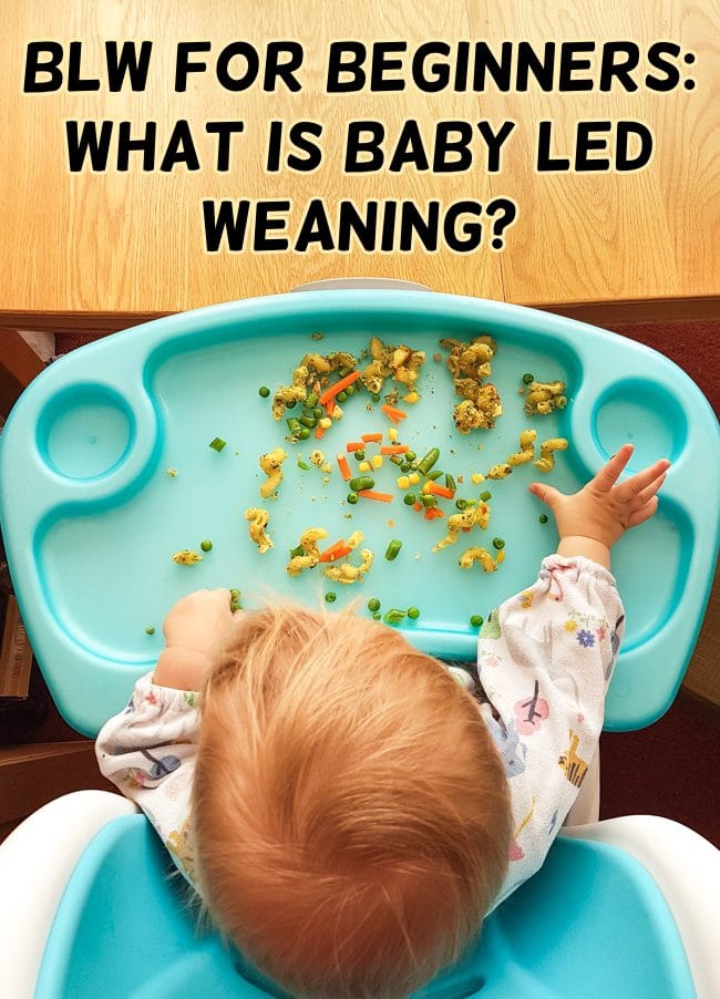 baby led weaning chair