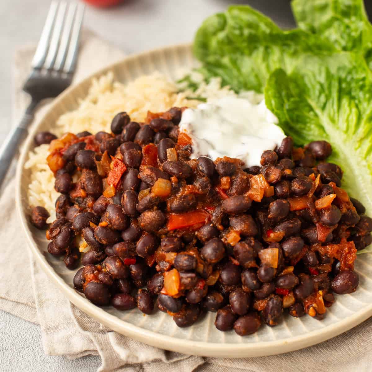 Vegan tomato and black bean stew on a plate with rice and lettuce.